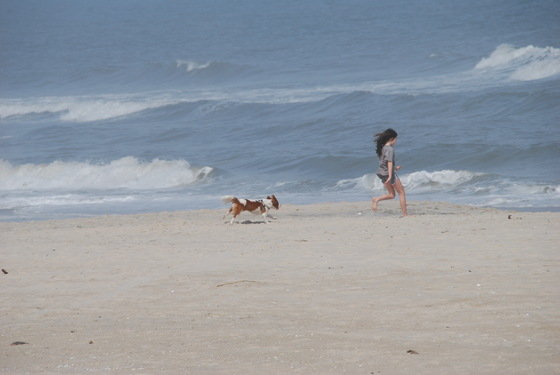 Assateague Island National Seashore