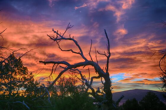 Capulin Volcano National Monument, NM