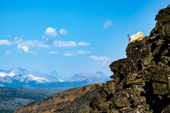 Glacier National Park