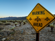 Joshua Tree National Park