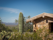 Saguaro National Park