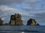 Olympic National Park