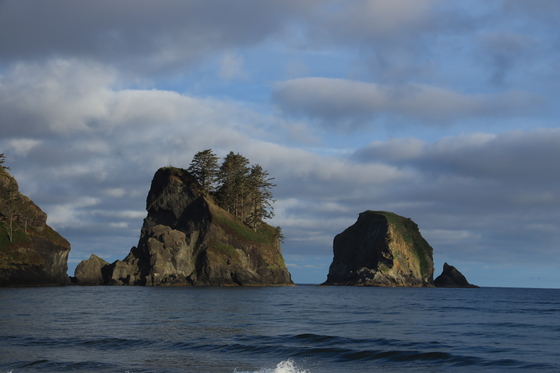 Olympic National Park
