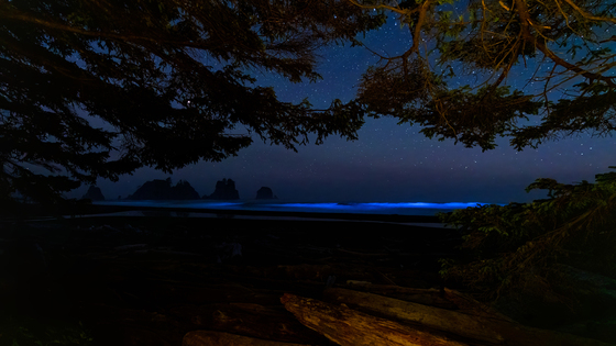 Olympic National Park