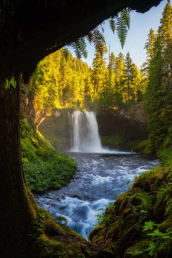 Willamette National Forest