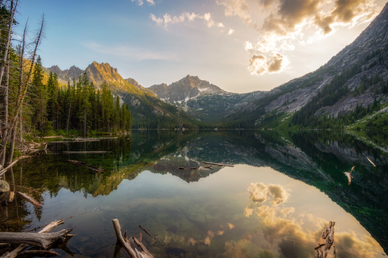 Okanogan-Wenatchee National Forest