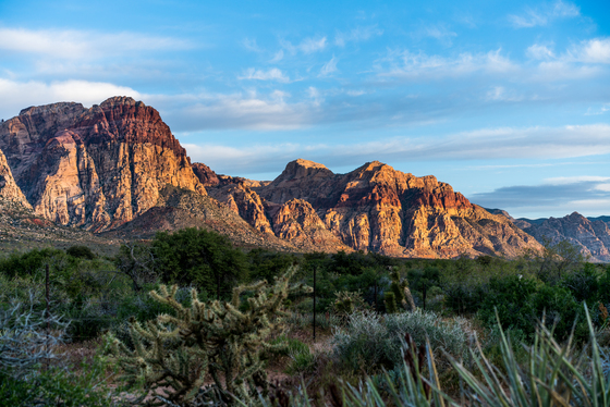 Red Rock Canyon National Conservation Area