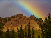 Denali National Park