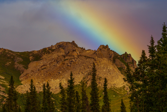 Denali National Park
