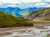 Denali National Park
