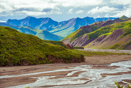 Denali National Park