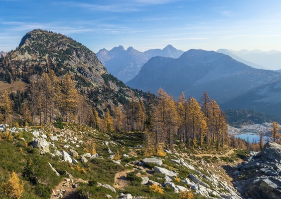 Okanogan-Wenatchee National Forest