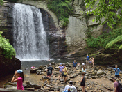 Pisgah National Forest