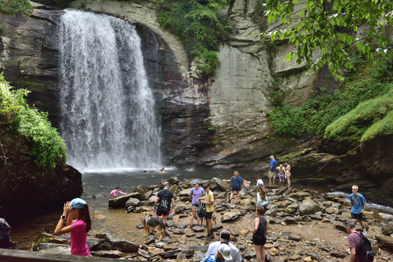 Pisgah National Forest