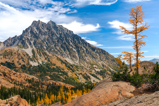 Alpine Lakes Wilderness 