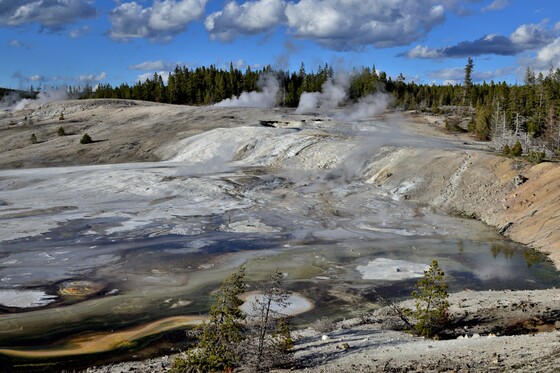 Yellowstone National Park