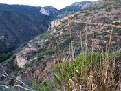 Santa Monica Mountains Recreation Area