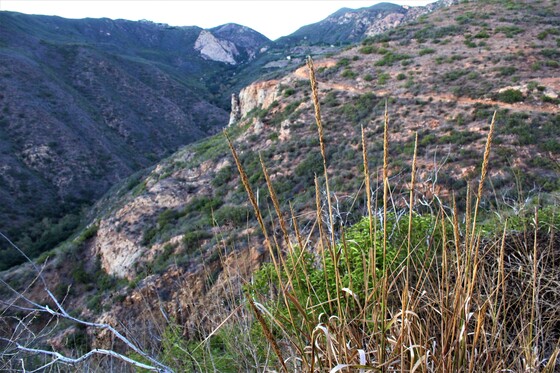 Santa Monica Mountains Recreation Area