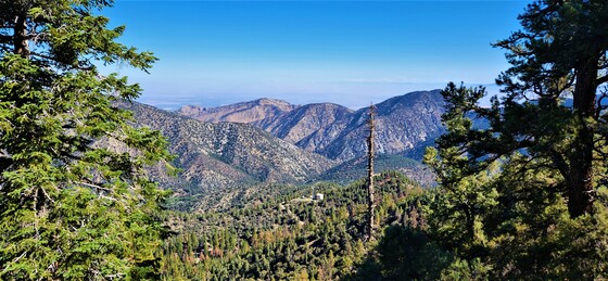 Los Padres National Forest