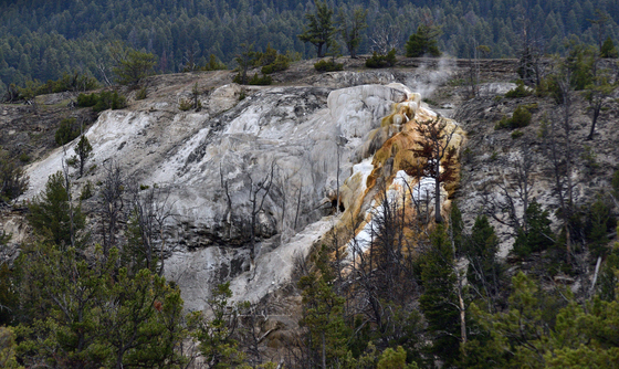 Yellowstone National Park