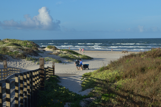 Padre National Island Seashore