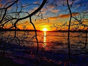 Clear through the branches... 