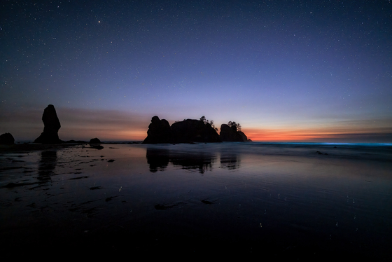 Olympic National Park