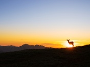 Olympic National Park