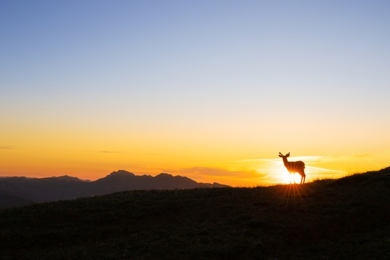 Olympic National Park