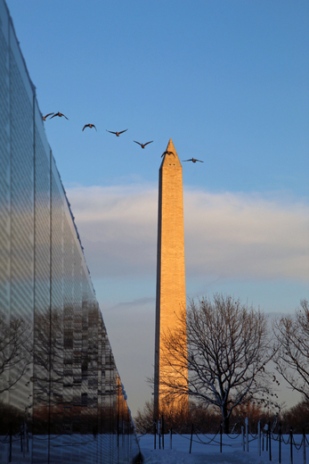Vietnam Veterans Memorial