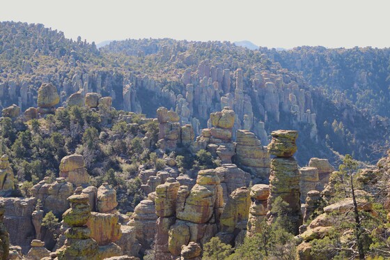 Chiricahua National Monument