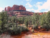 Coconino National Forest