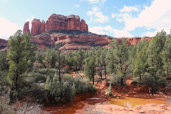 Coconino National Forest