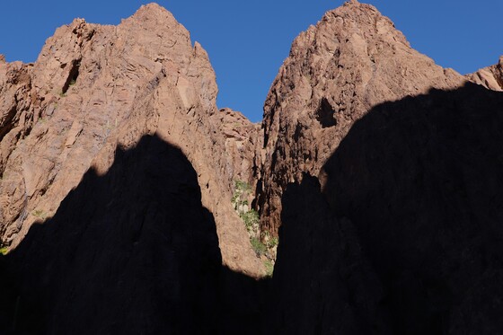 Kofa National Wildlife Refuge