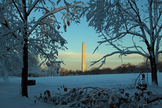 Washington Monument