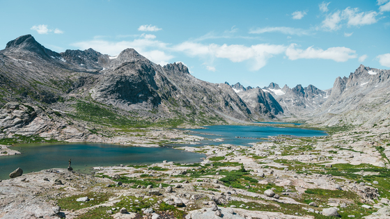 Bridger Teton National Forest