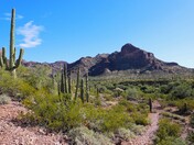 Organ Pipe Cactus National Monument