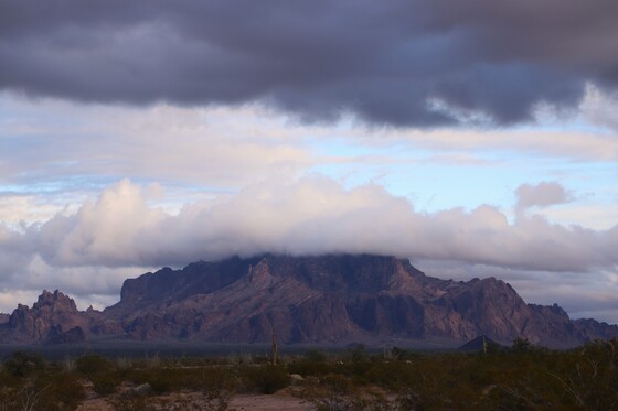Kofa National Wildlife Refuge