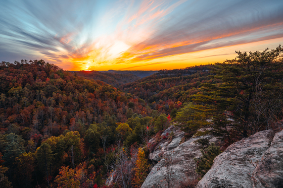 Daniel Boone National Forest