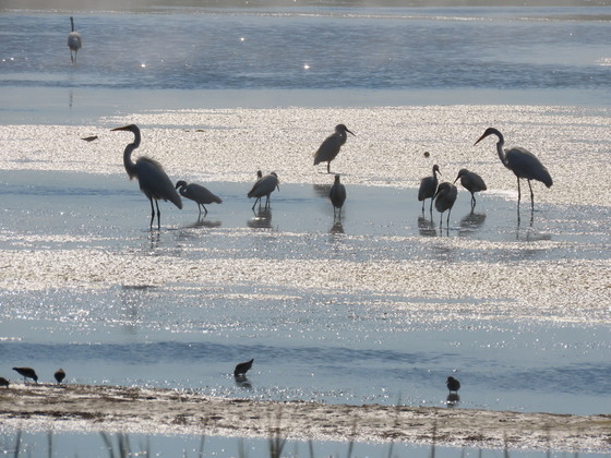 Parker River National Wildlife Refuge