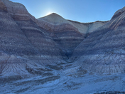 Petrified Forest National Park