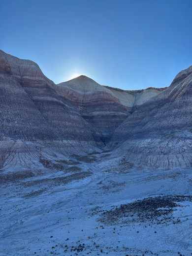 Petrified Forest National Park
