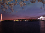 National Mall and Memorial Parks