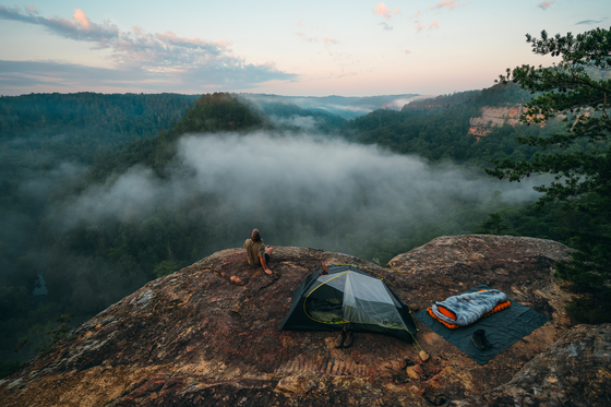 Daniel Boone National Forest