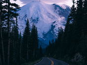 Mount Rainier National Park