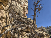 Mesa Verde National Park