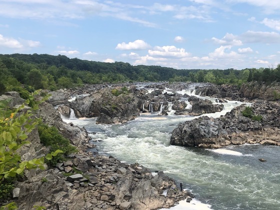 Great Falls Park