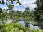 Kenilworth Park and Aquatic Gardens
