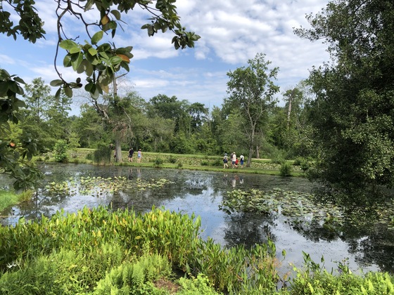 Kenilworth Park and Aquatic Gardens