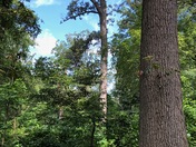 Occoquan Bay National Wildlife Refuge